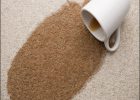 Best Coffee Stain Remover For Carpet