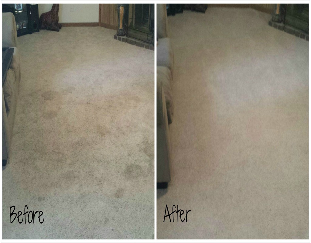 Carpet Cleaners Knoxville Tn