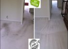 Carpet Cleaning Bartlett Il