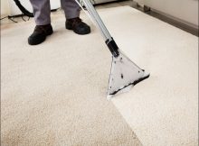 Carpet Cleaning Freehold Nj