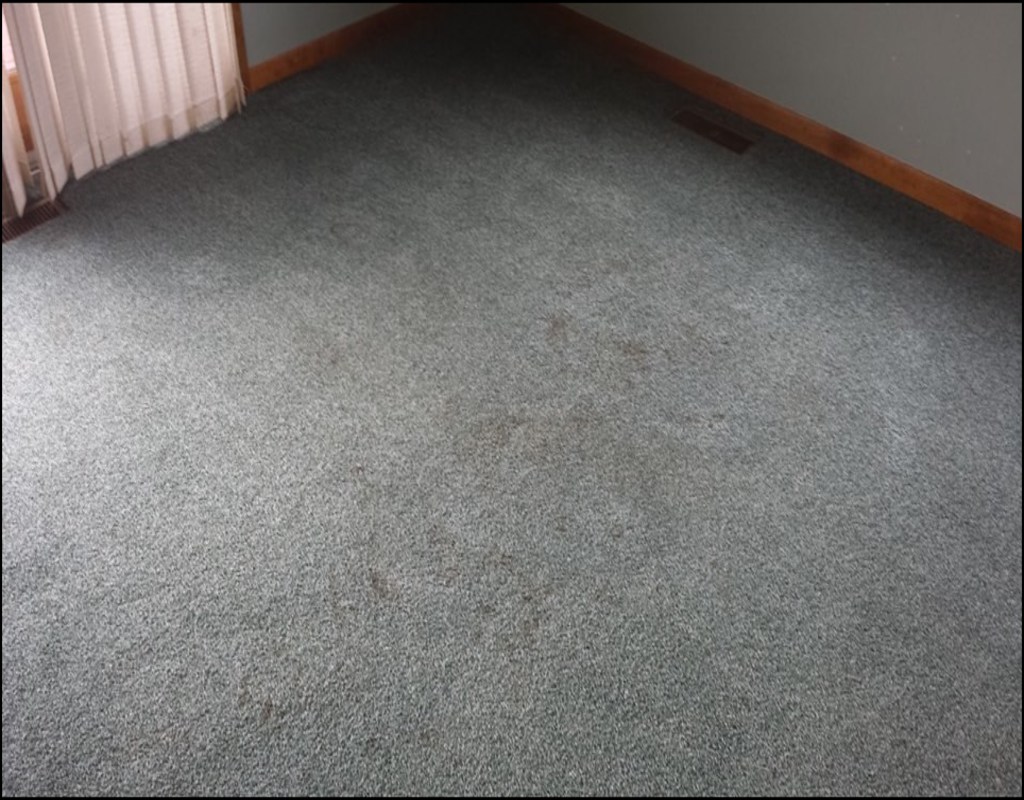 carpet-cleaning-lansing-mi Carpet Cleaning Lansing Mi