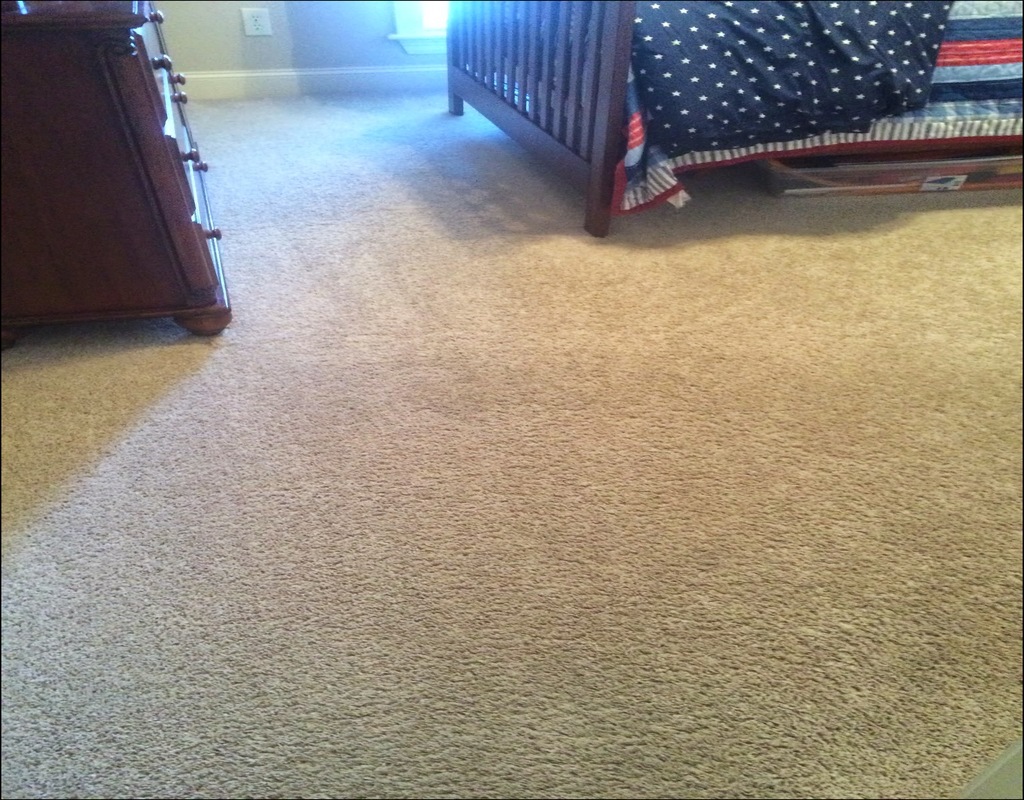 Carpet Cleaning Madison Ms