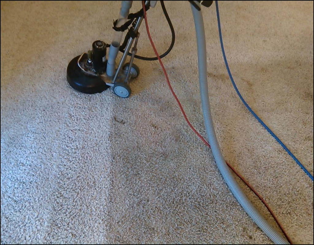 Carpet Cleaning Olympia Wa