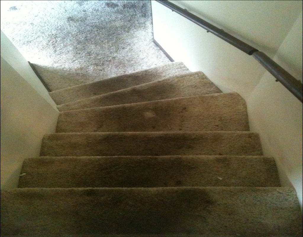 Carpet Cleaning Overland Park
