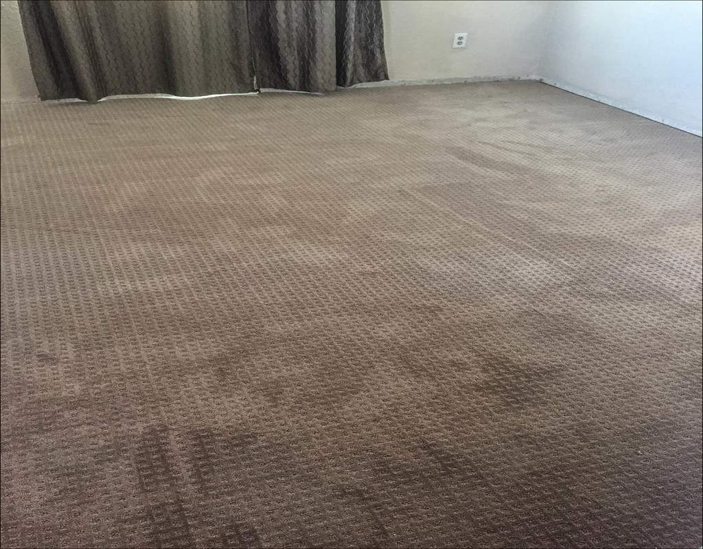 The Foolproof How Much Does Mohawk Smartstrand Carpet Cost Strategy 