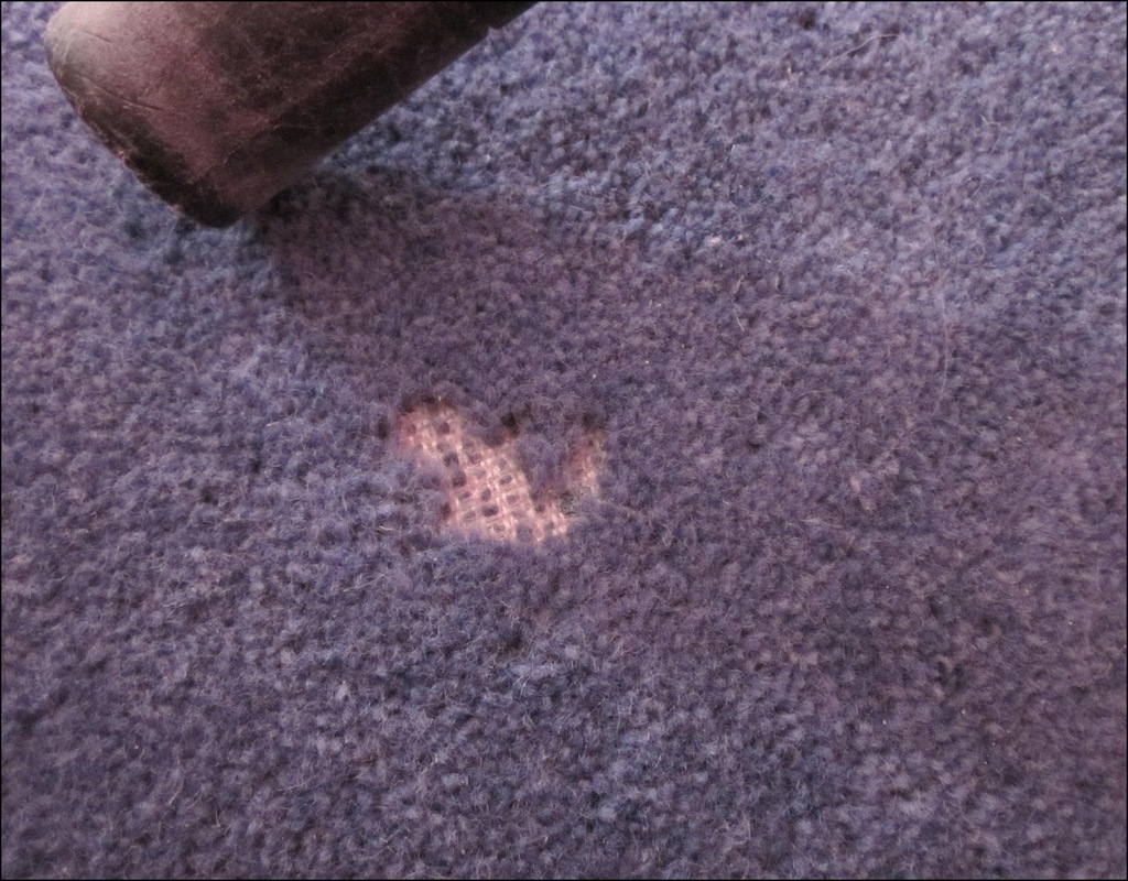 Killing Moth Larvae In Carpet