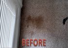 Oxy Clean Carpet Stains