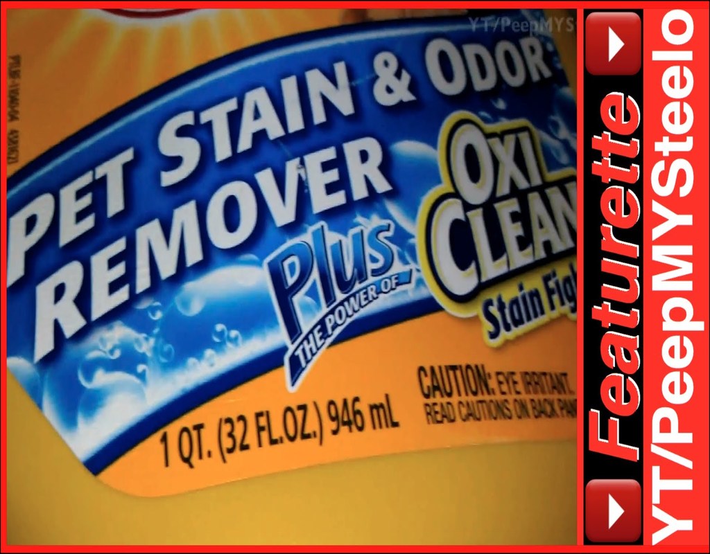 Best Carpet Shampoo For Pet Urine