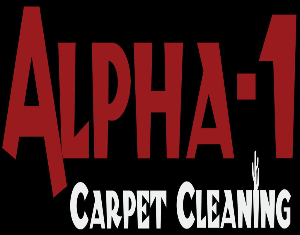 carpet-cleaning-asheville-nc Carpet Cleaning Asheville Nc