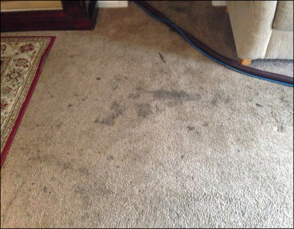 Carpet Cleaning Burlingame Ca