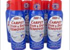Lifter 1 Carpet Stain Remover